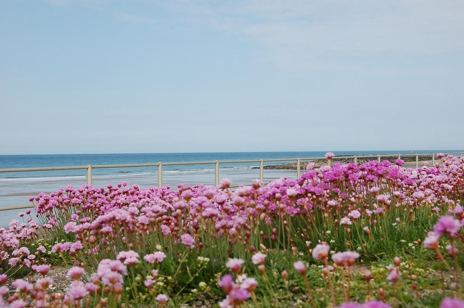 Salt Marsh Apartment Tywyn Esterno foto