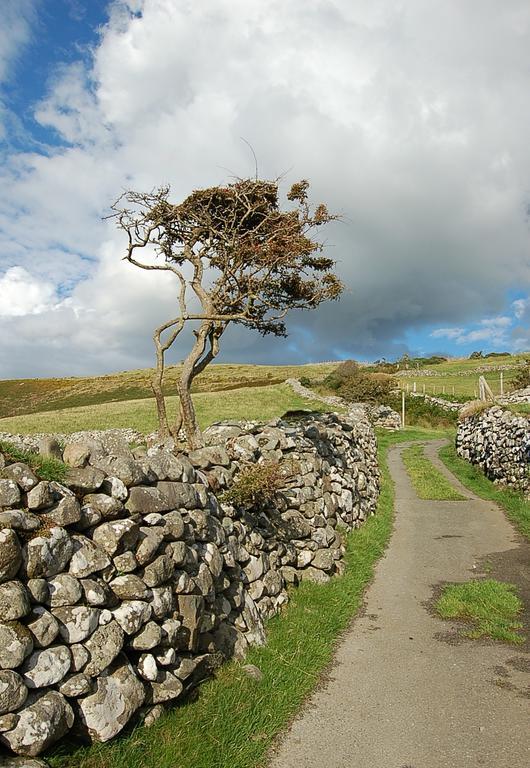 Salt Marsh Apartment Tywyn Esterno foto
