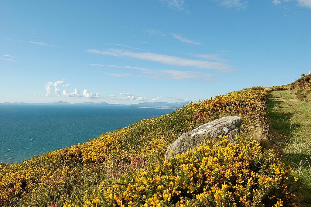 Salt Marsh Apartment Tywyn Esterno foto